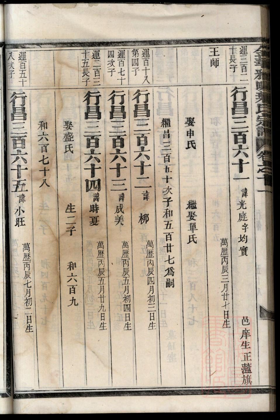 制作家谱图片大全