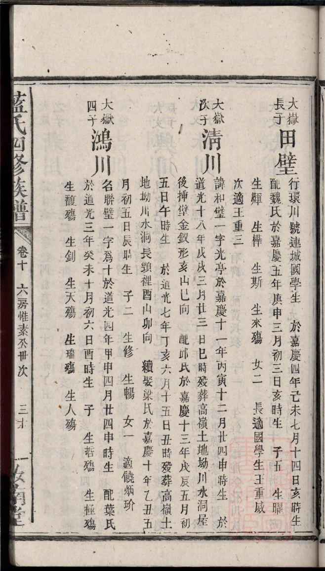 家谱族谱制作工具