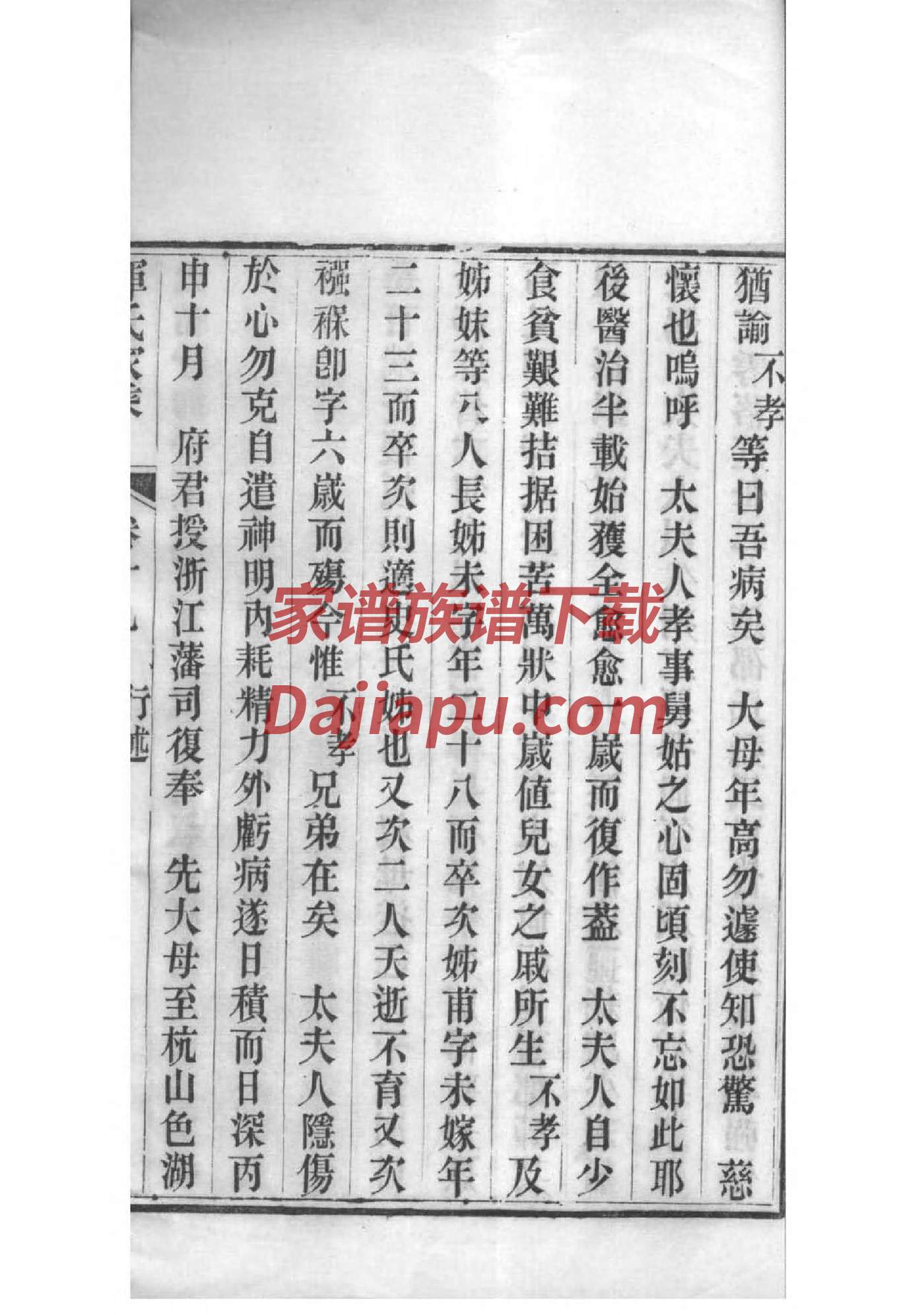 家谱哪里有卖