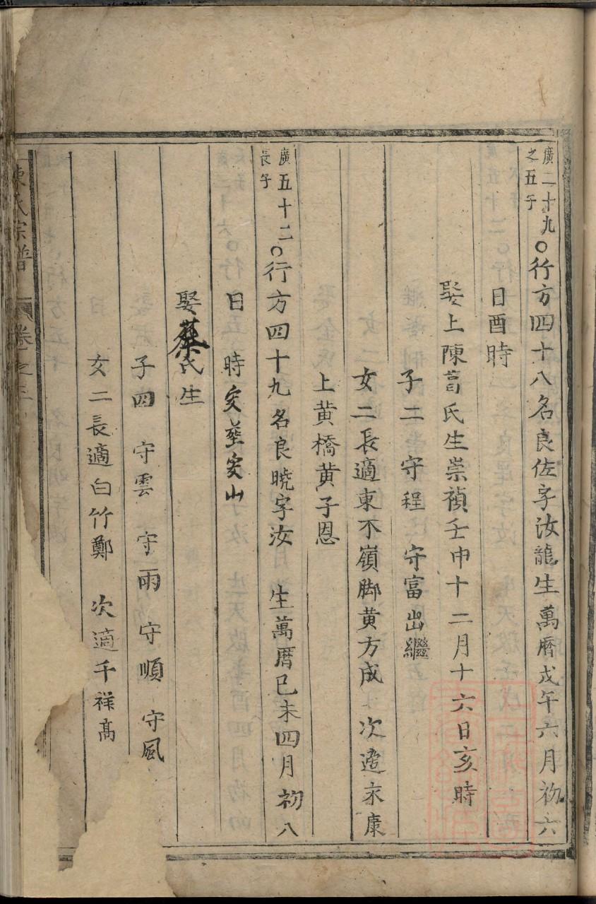 施姓族谱辈分