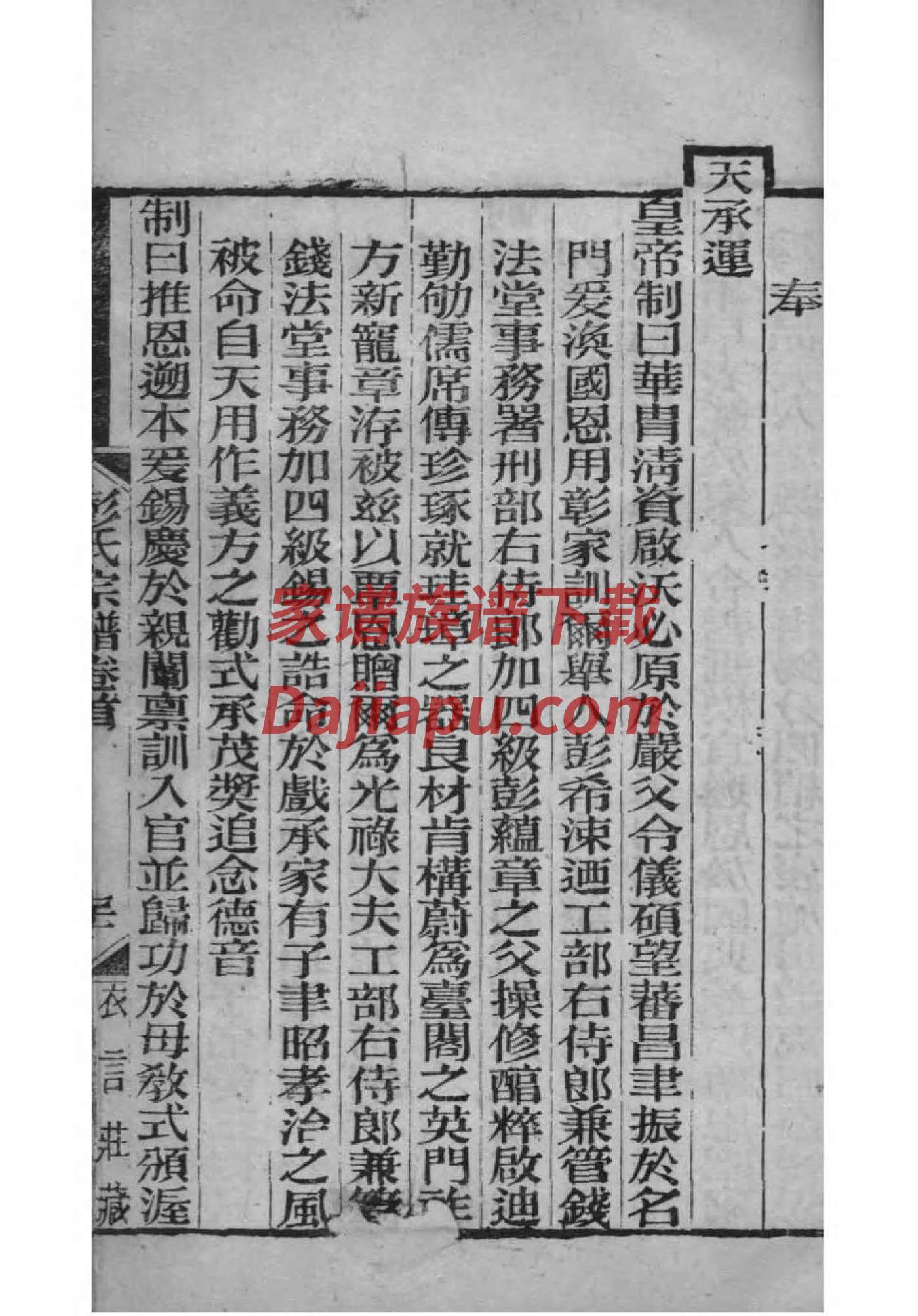 星氏家谱查询一览表