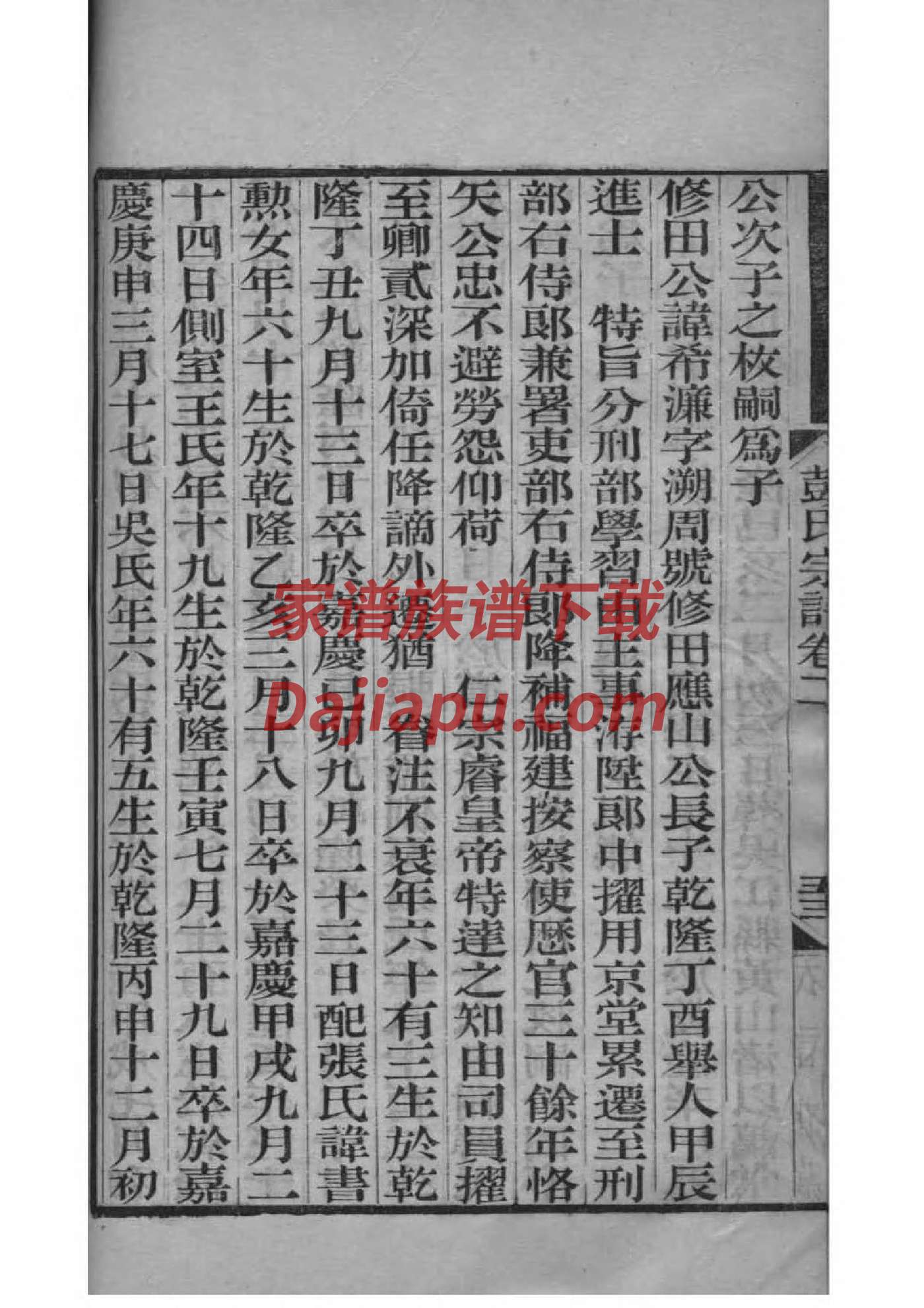 家谱制作样本
