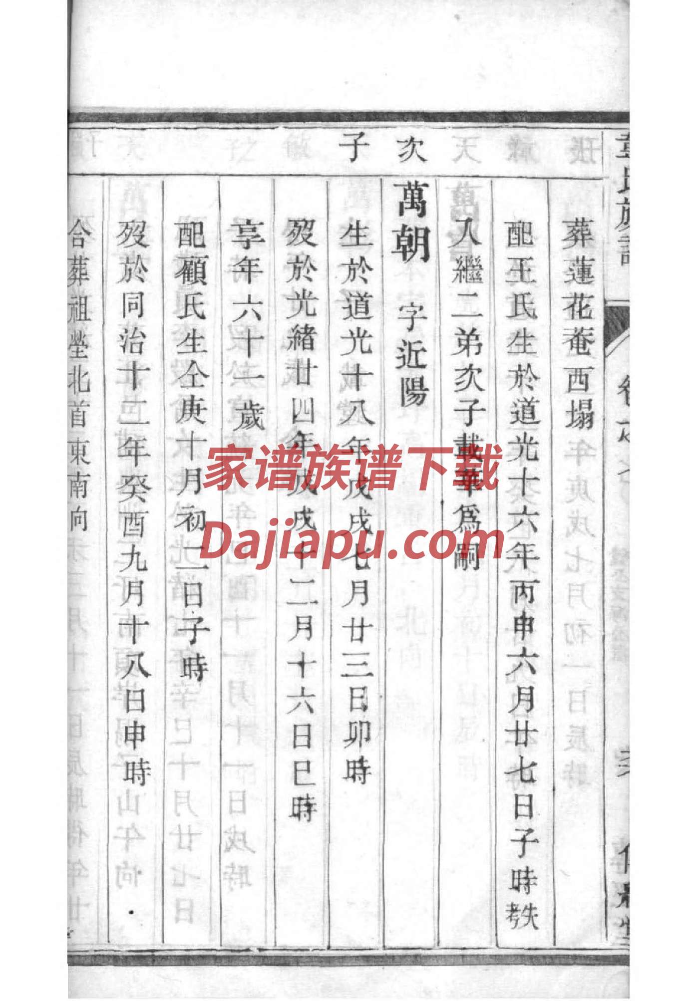 小学生家谱怎么做