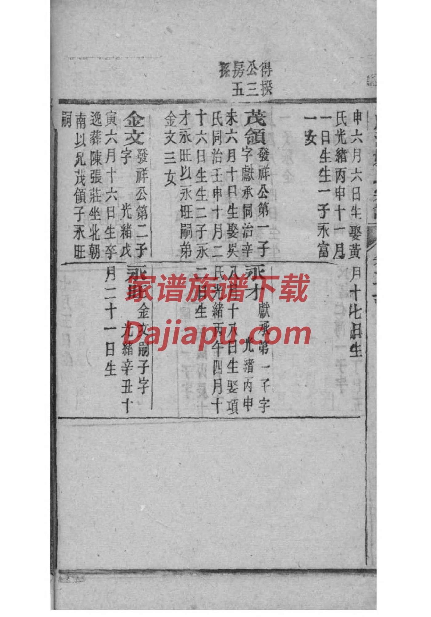 最新最全的家谱格式