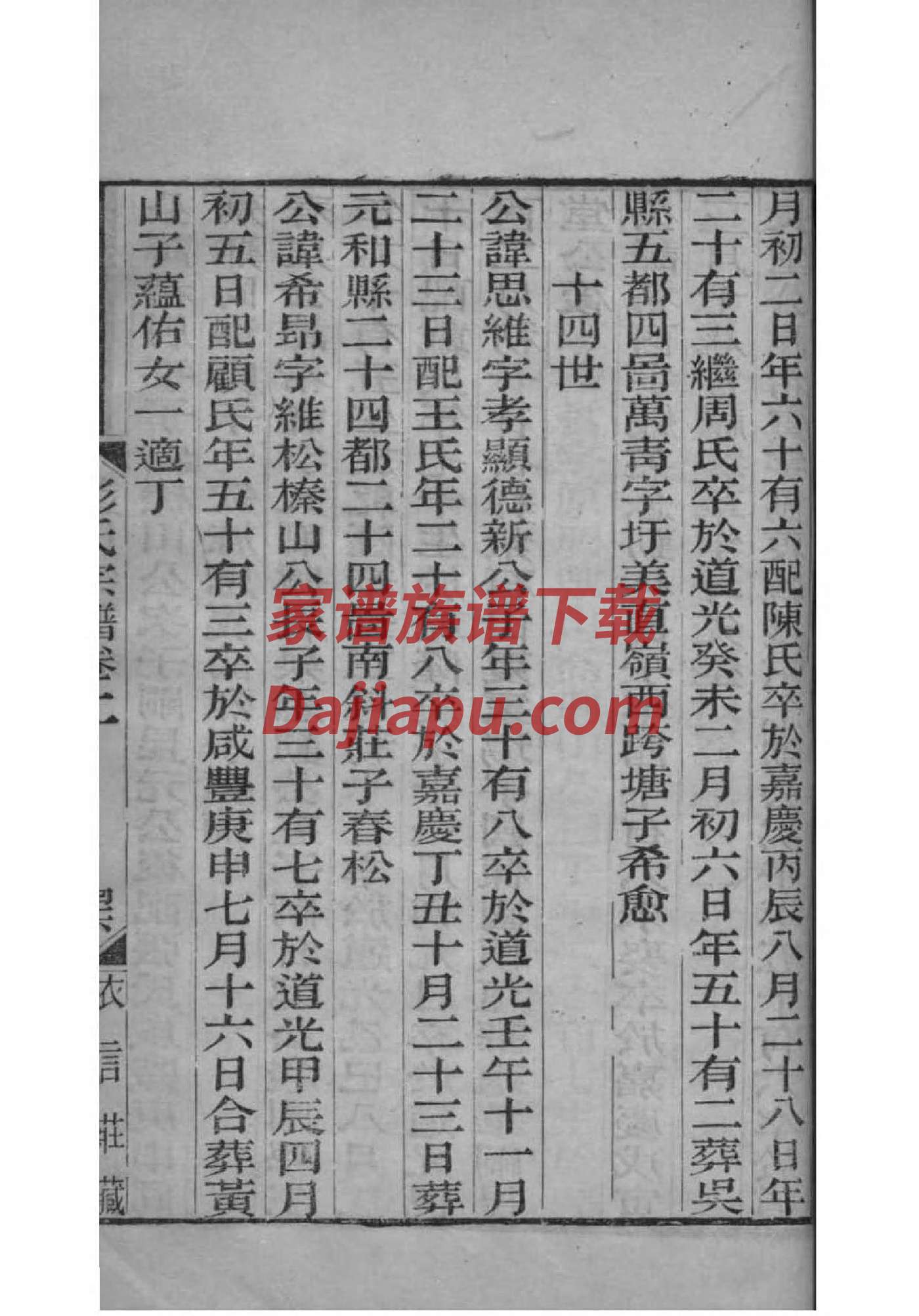 蛮氏家谱族谱数据库