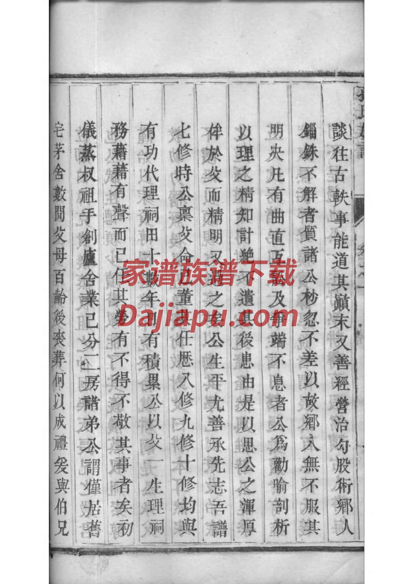 电子家谱WORD模板