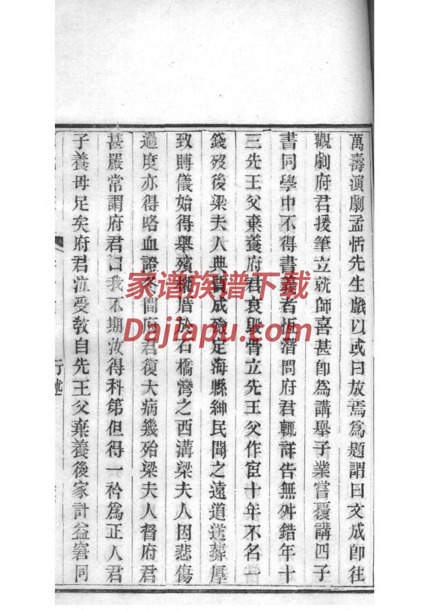 种姓族谱字辈排行