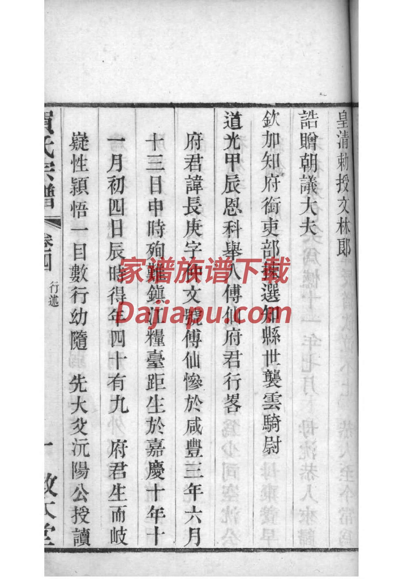 冈田氏辈分表