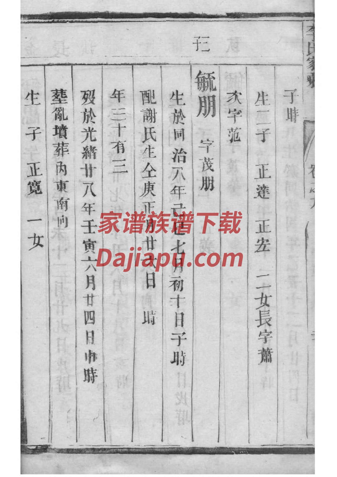 罗家谱排列