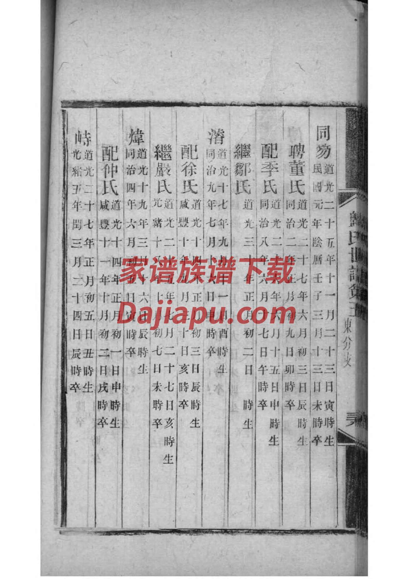 杨姓家谱字辈大全山东