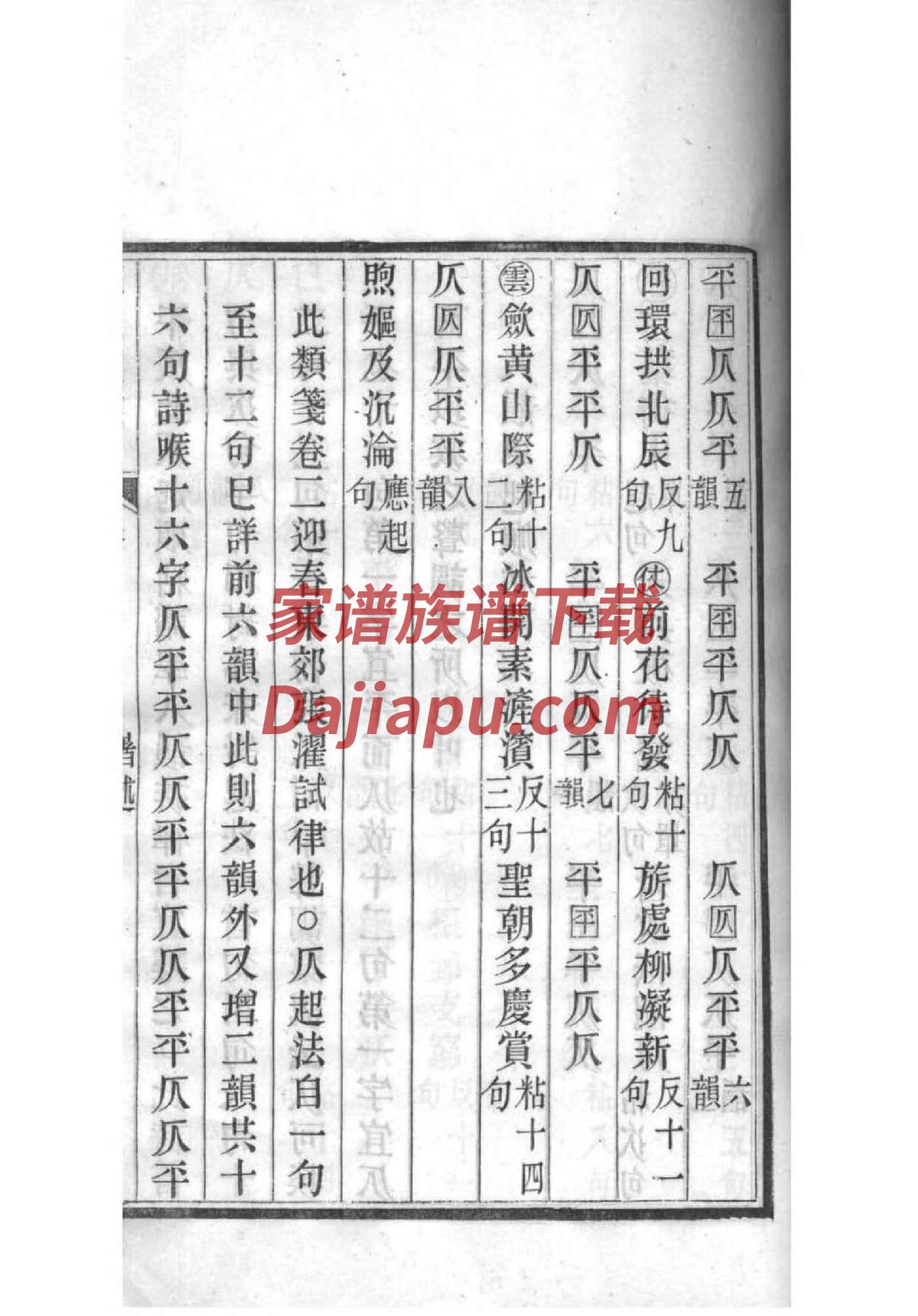 家谱如何编写图片