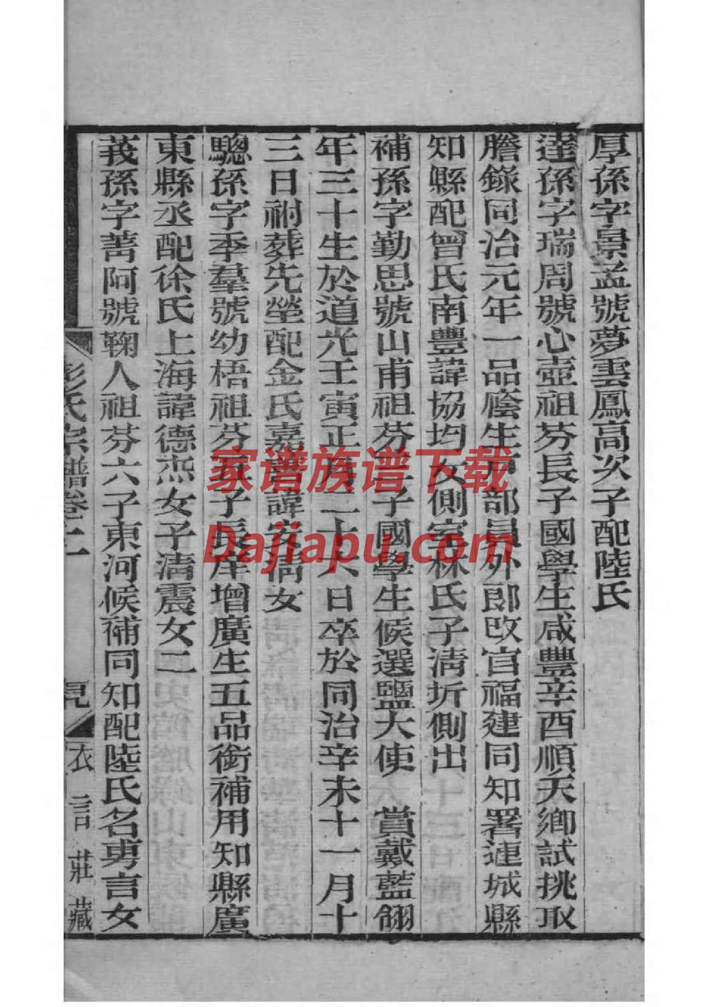 查氏家谱查询一览表
