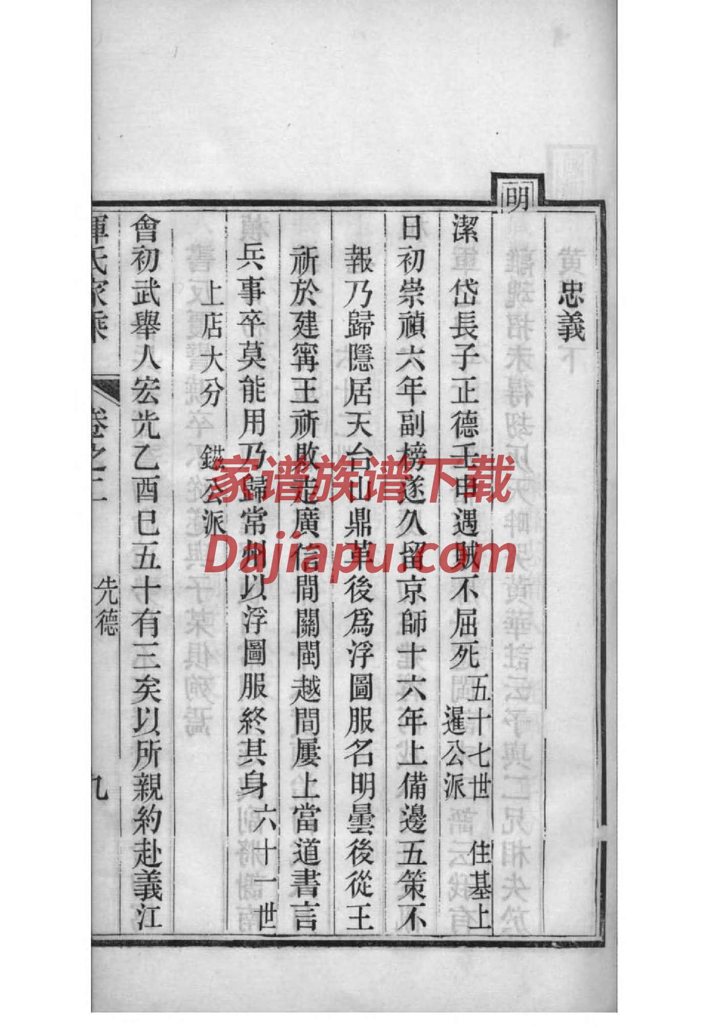 家谱样本图漂亮又好看