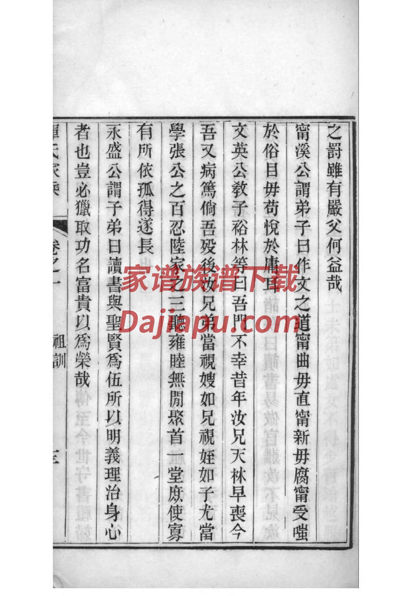 何家家谱