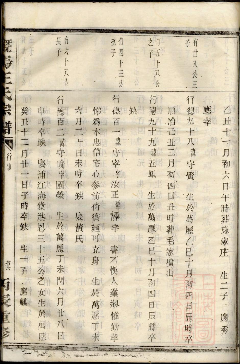 家谱先生10
