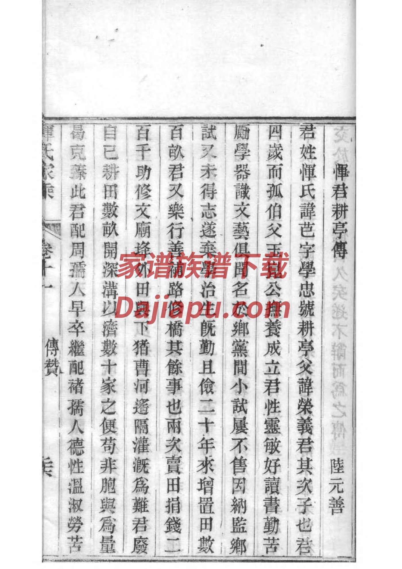 商姓有家谱吗
