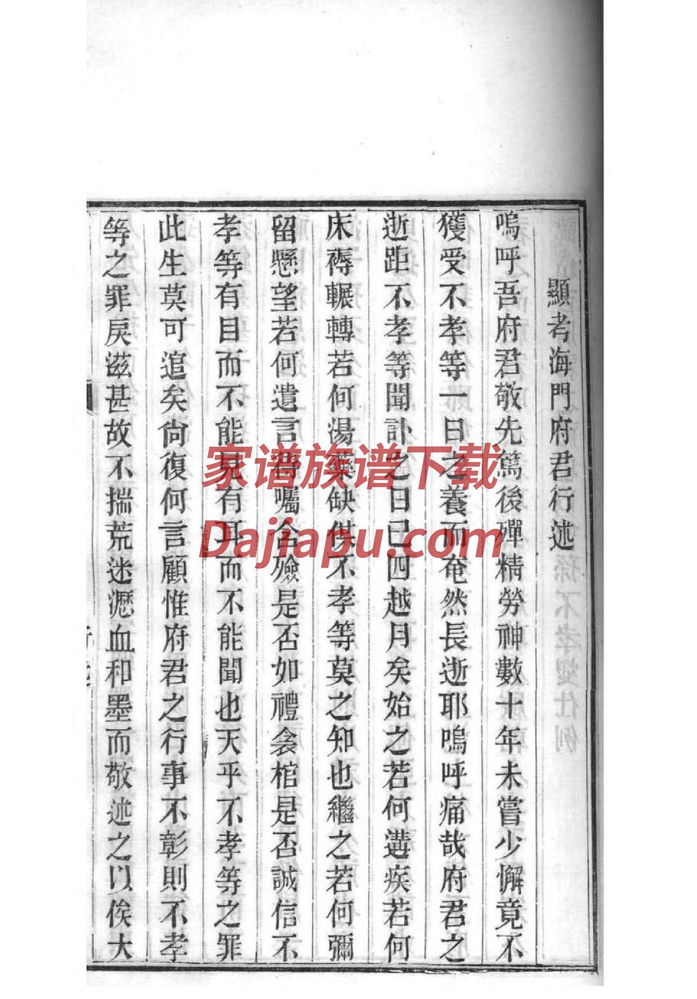 集氏族谱在哪里看