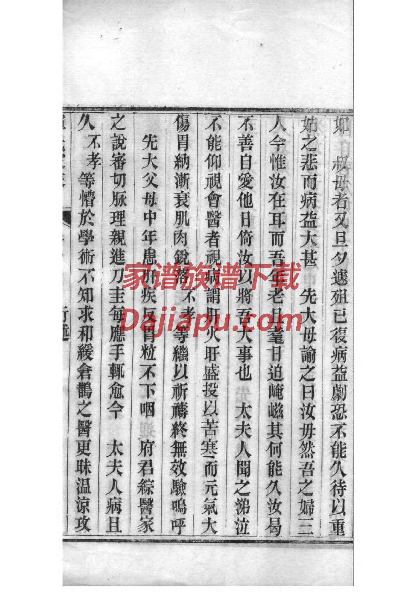 高晓松家族家谱