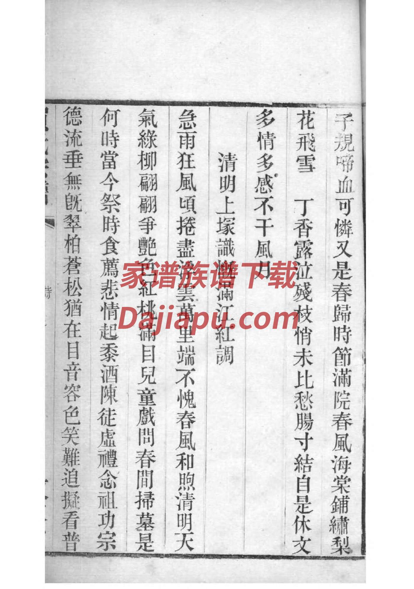东门氏的起源