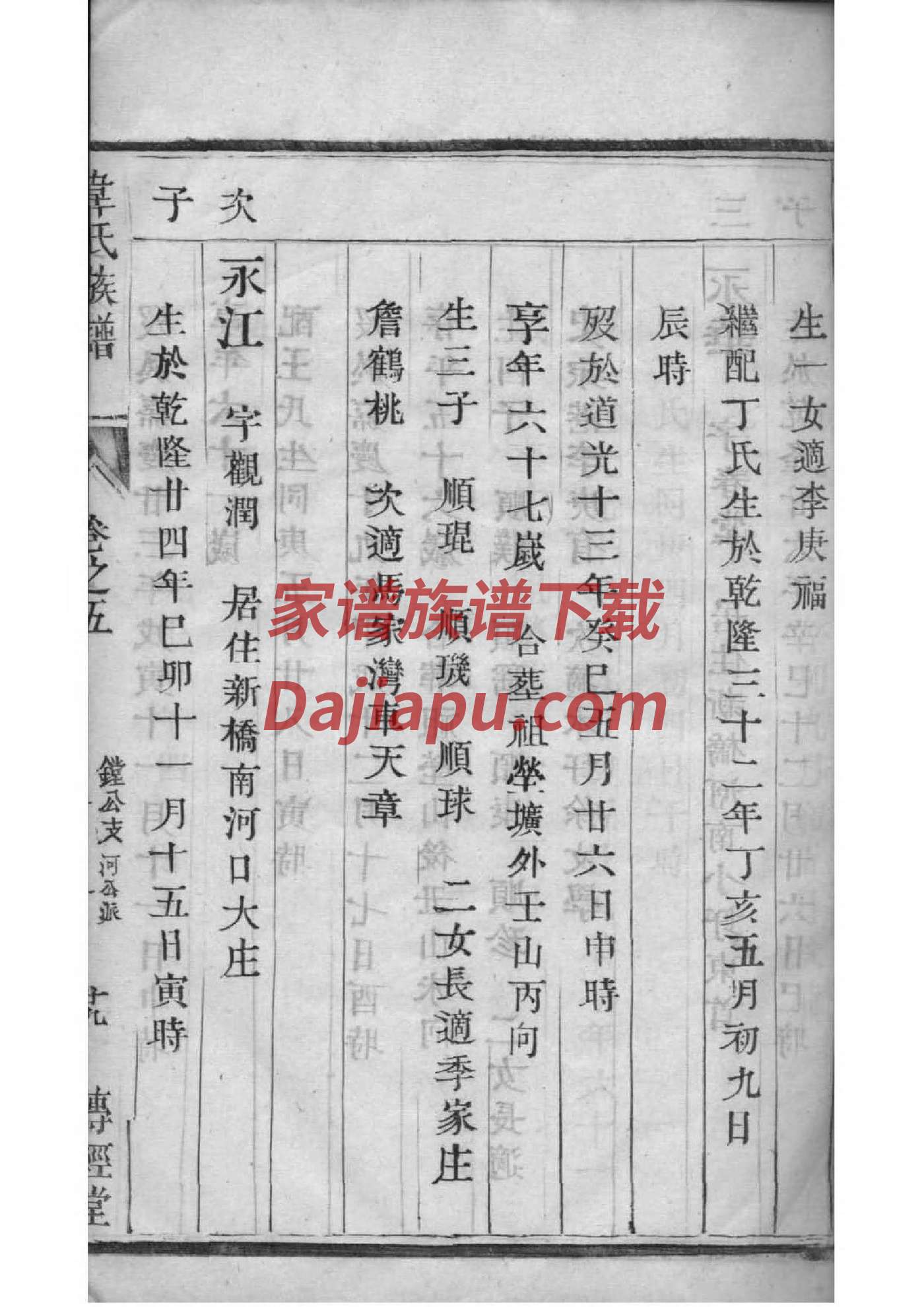 储氏的起源