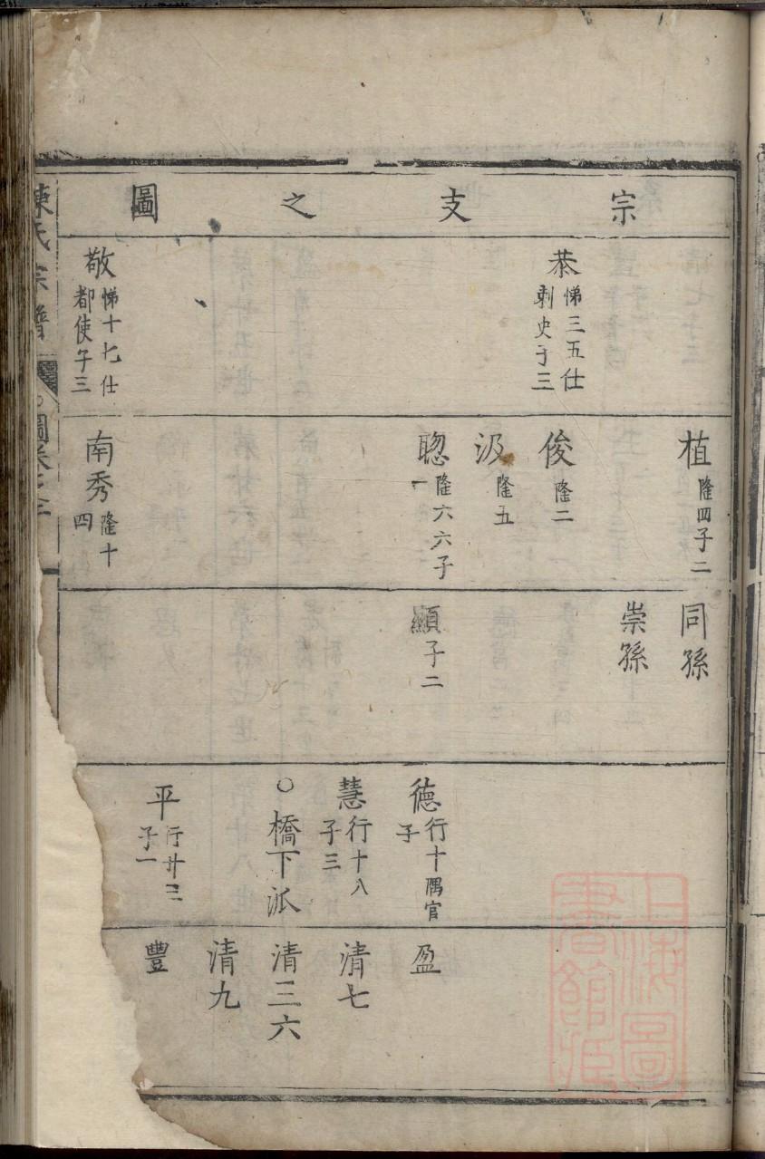 家谱制作电子版