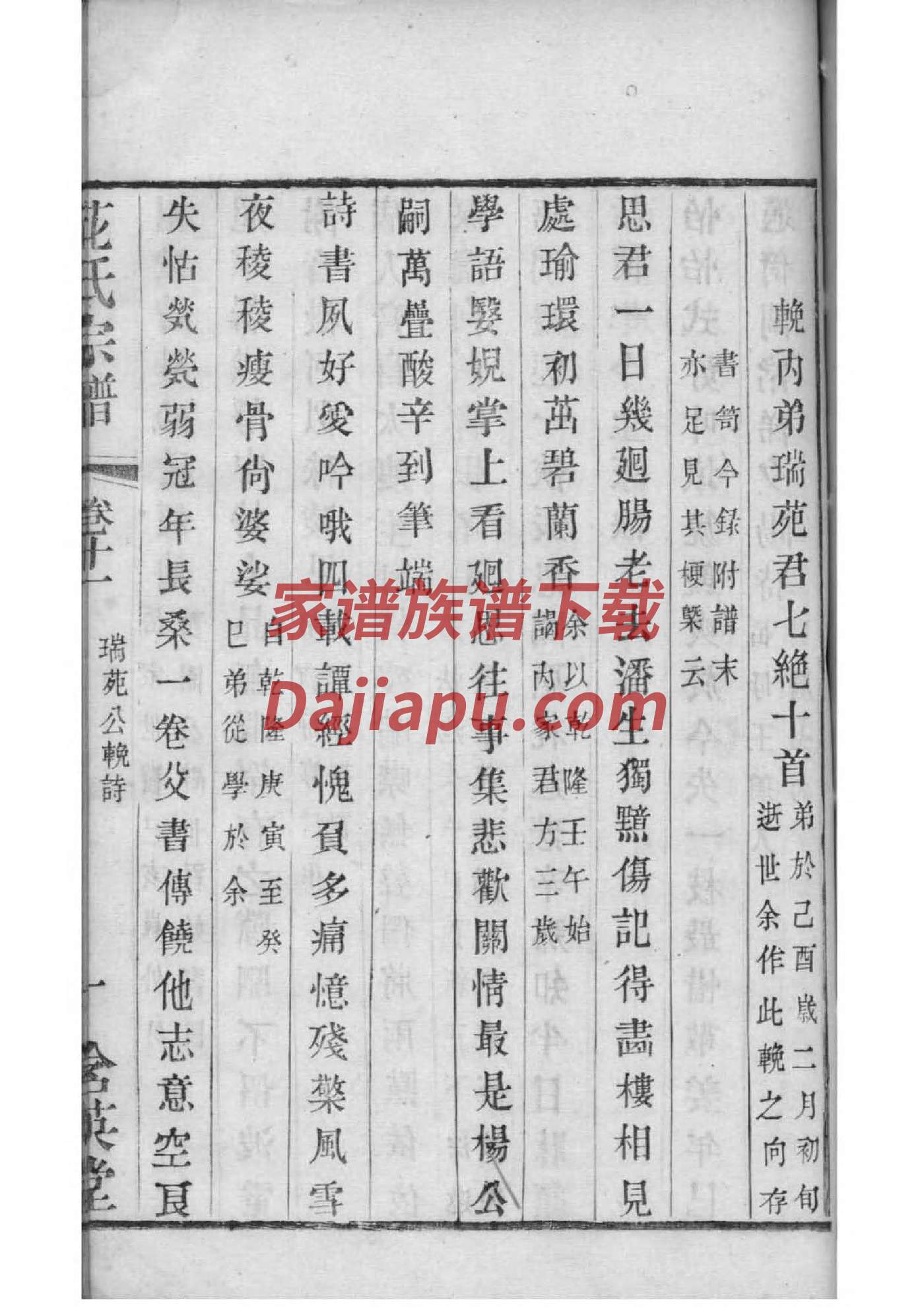 绘制家谱图怎么画