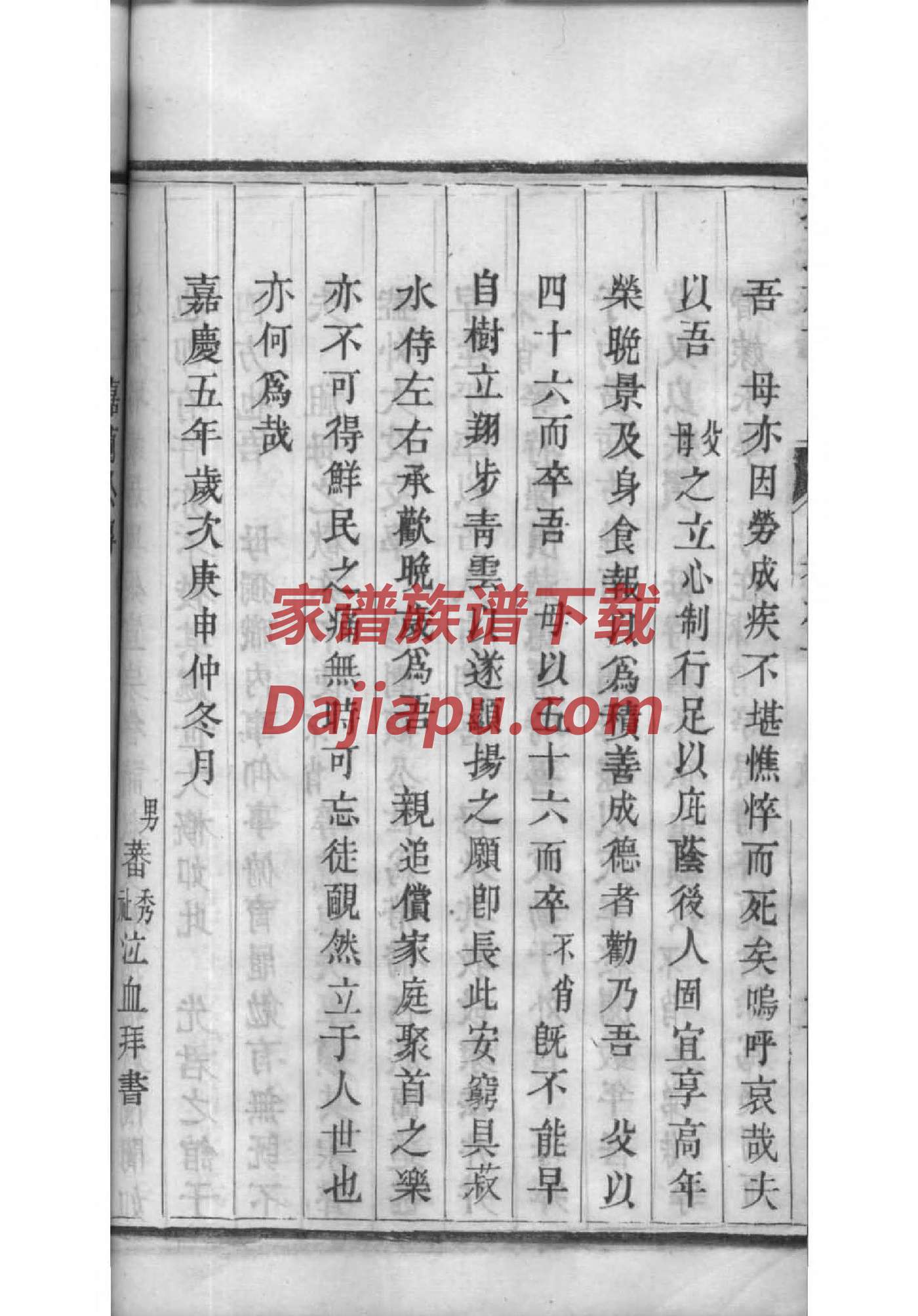 范氏家谱查询一览表