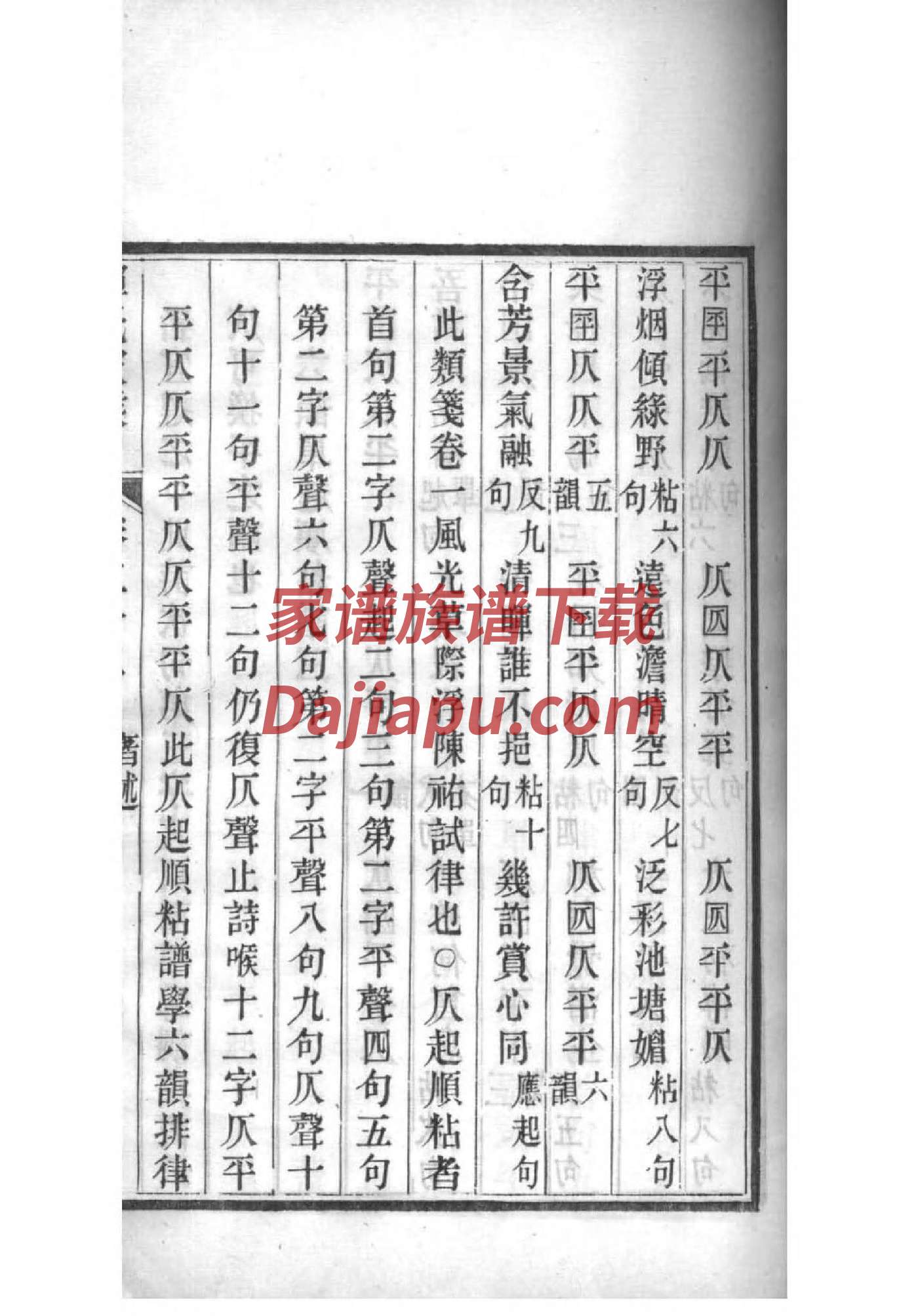 四川古蔺大村王氏家谱