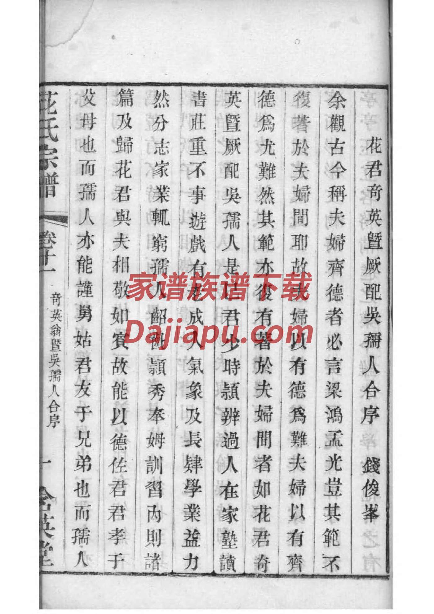 女娲姓的族谱