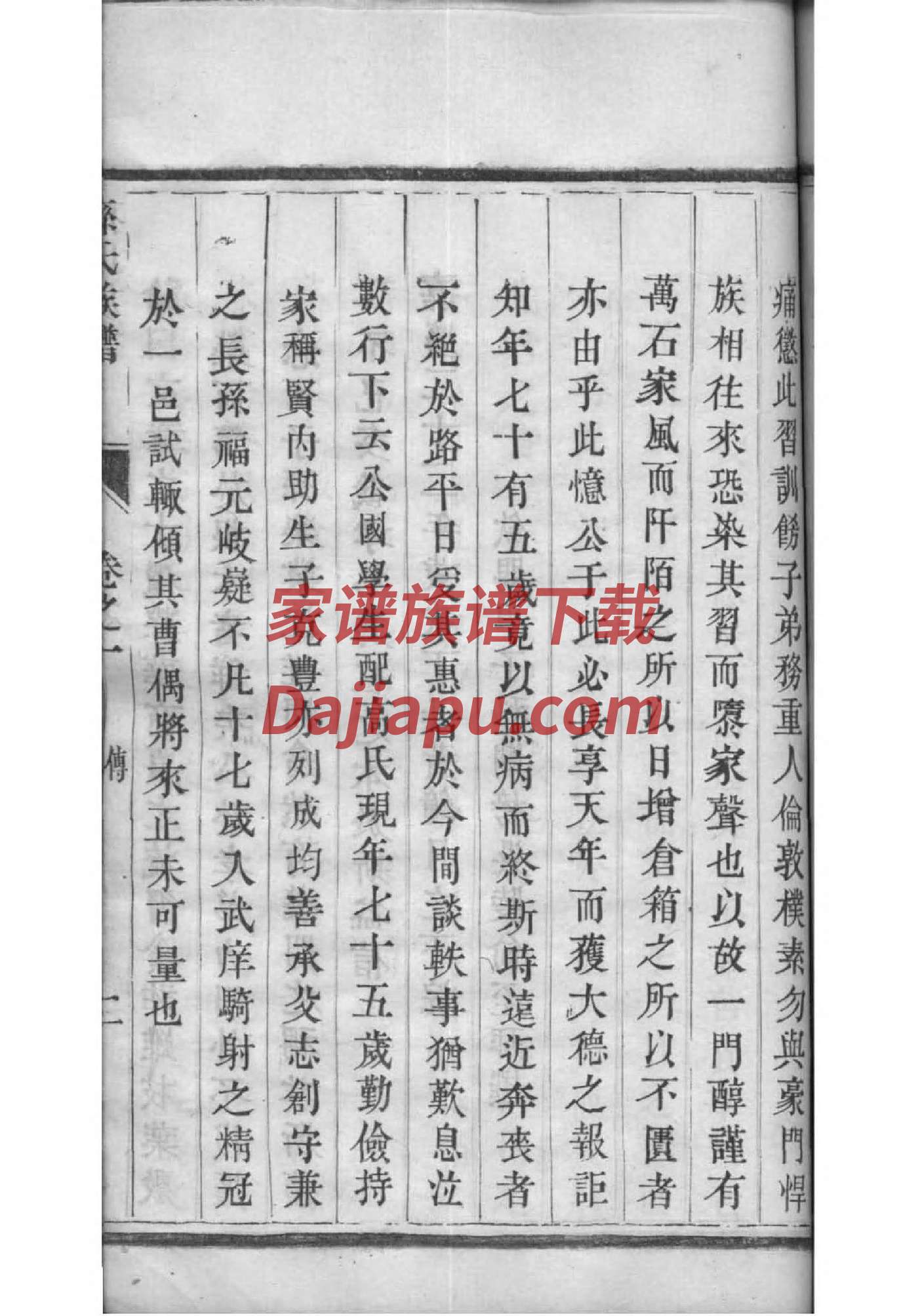 家庭族谱图怎么画出来
