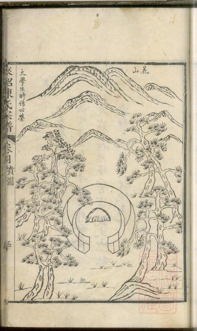 家谱怎么排序