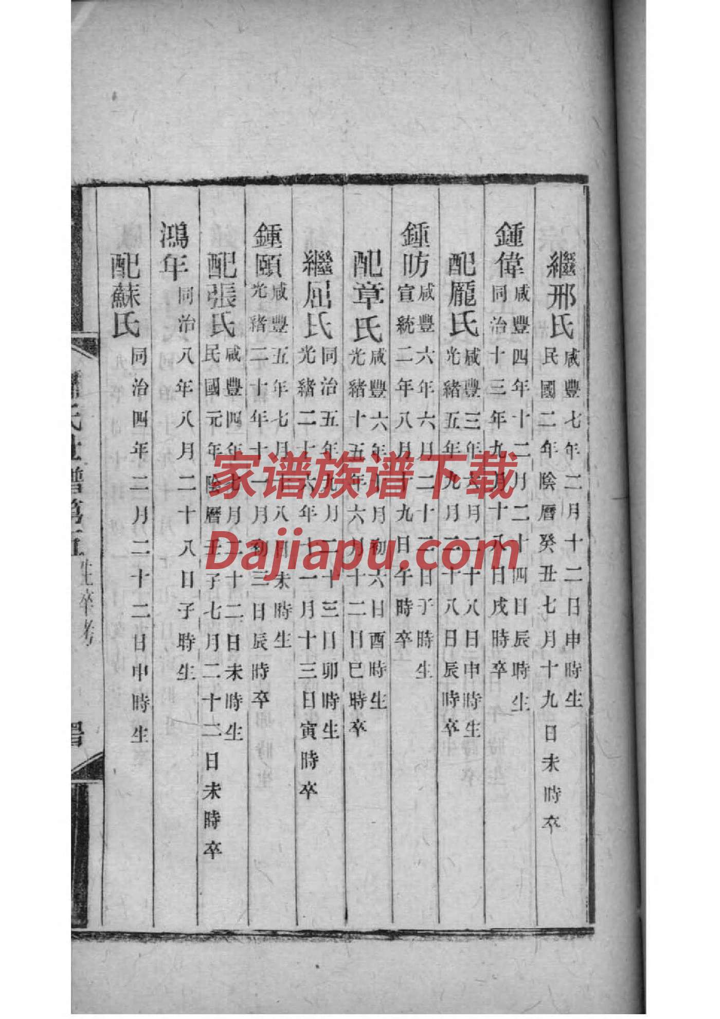 贯氏族谱在哪里看