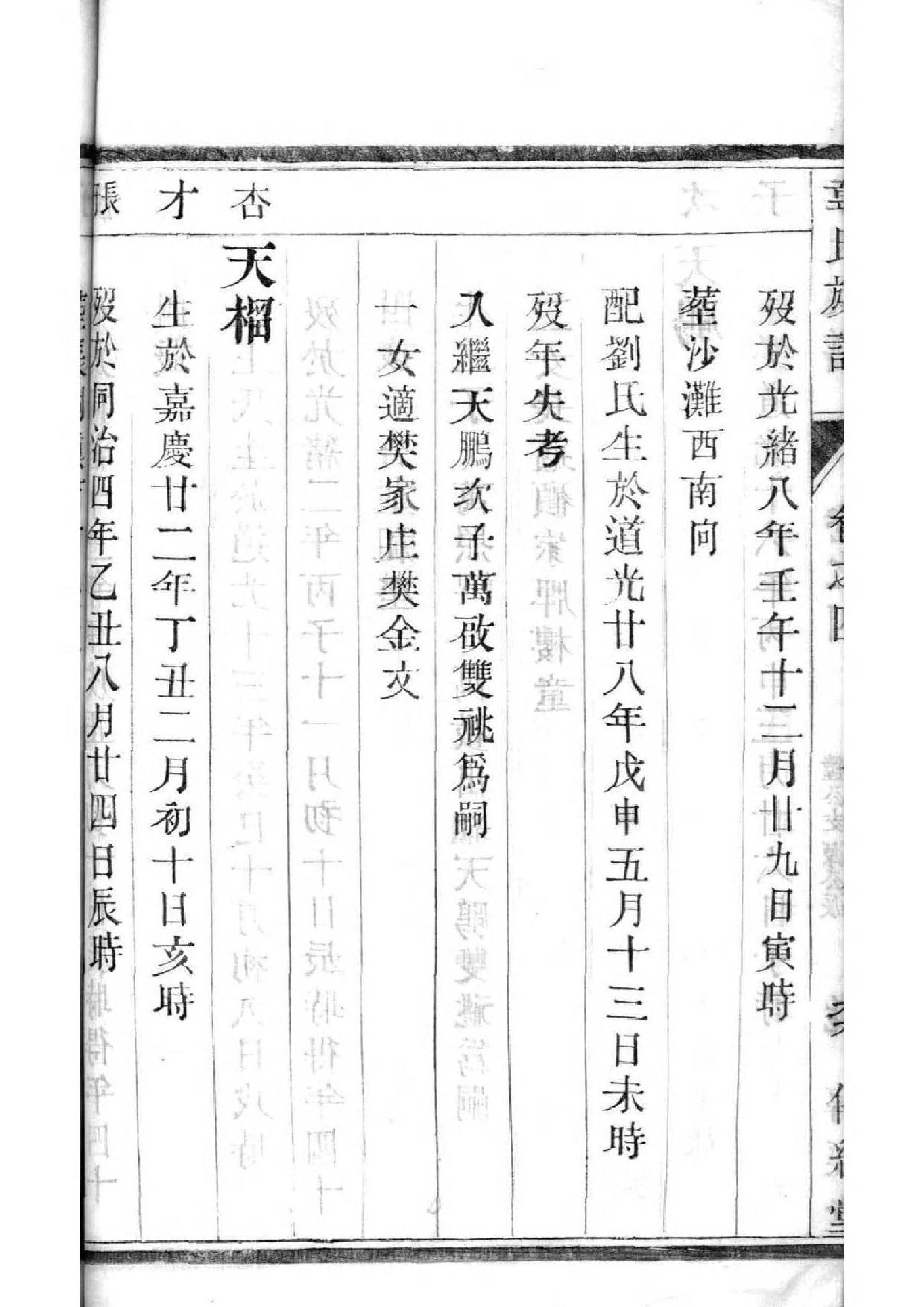 任氏家谱元字后是什么