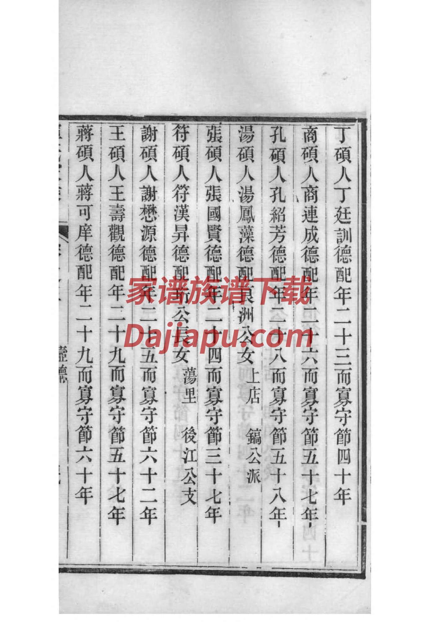 赛姓辈分排行世系表
