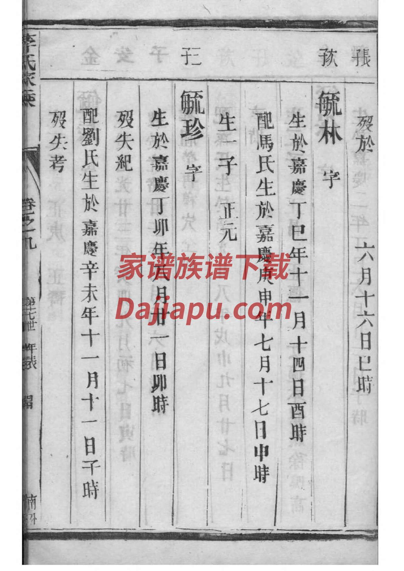 壤驷姓免费查自己家谱