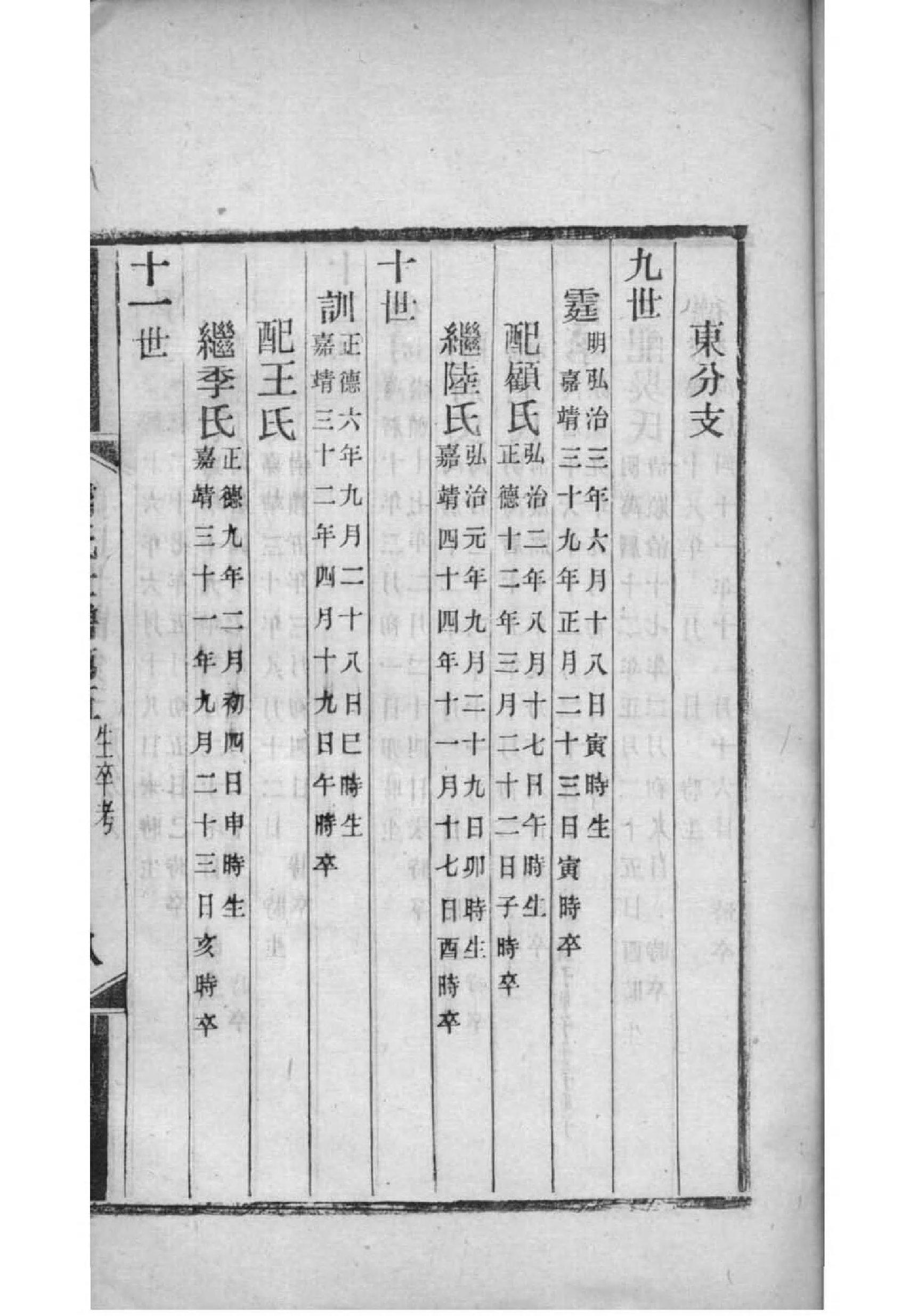 道姓辈分排行世系表