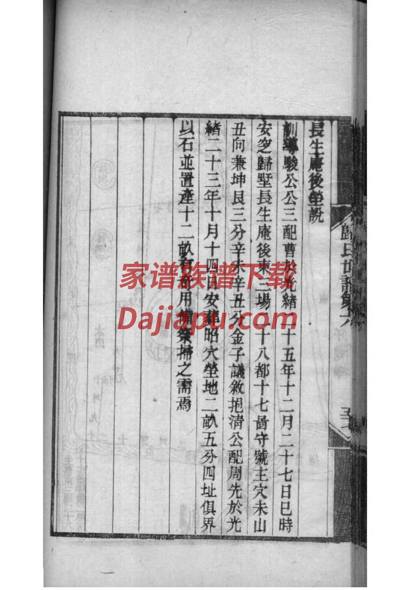 泰氏族谱在哪里看