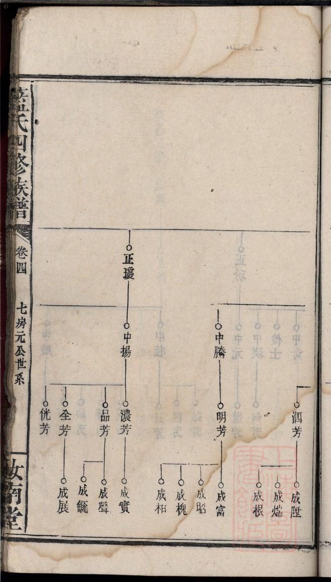 家谱字辈查询表