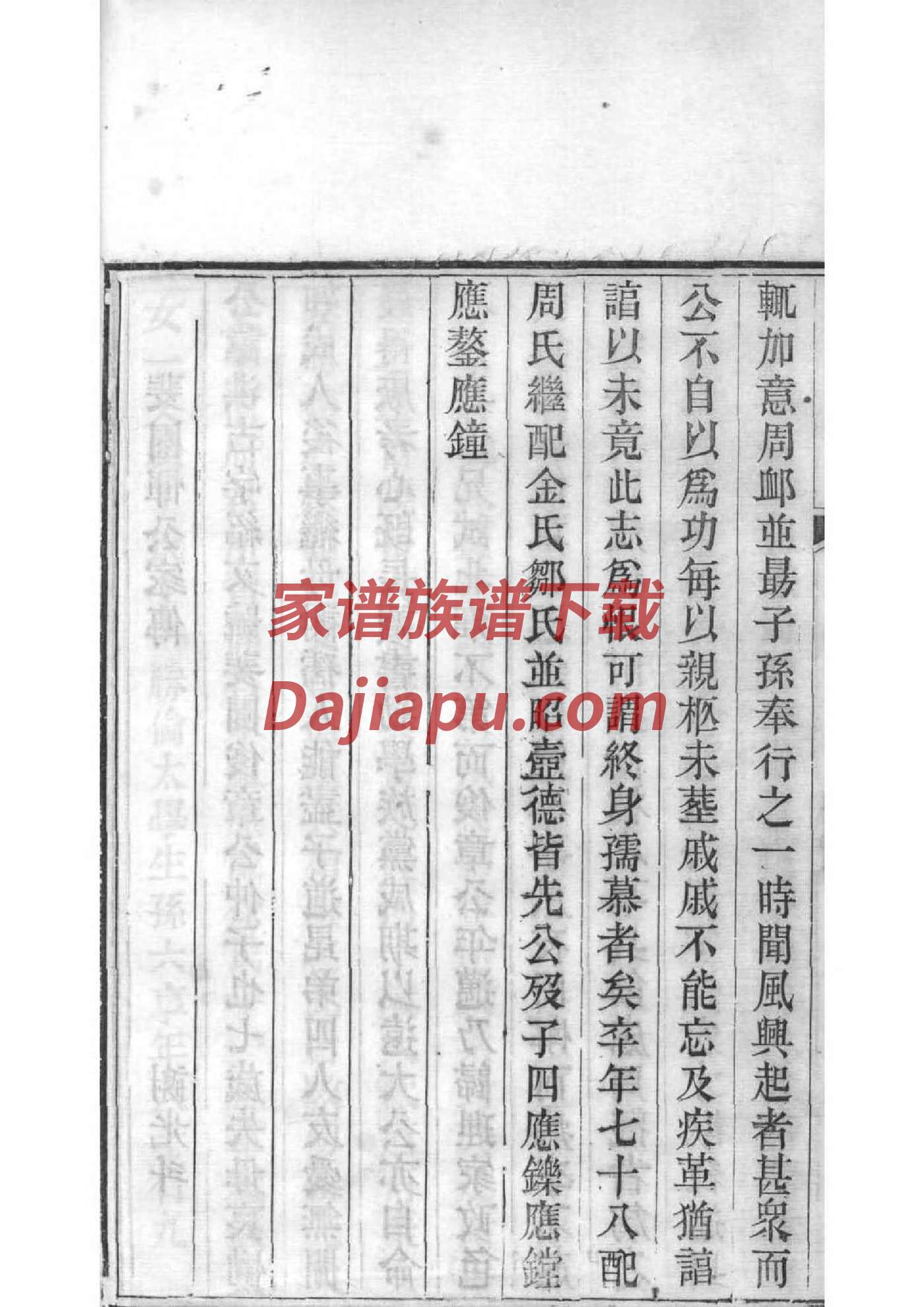 姓氏家谱世系表