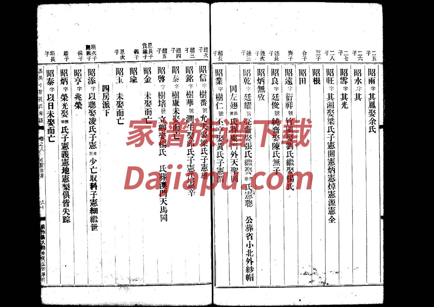 殴姓辈分排行世系表