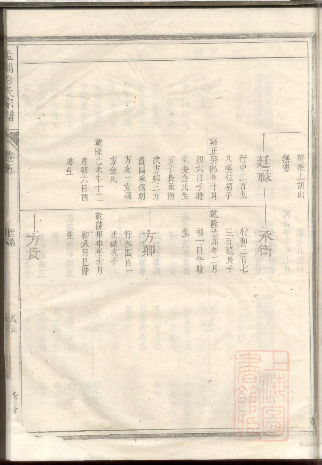 续家谱软件