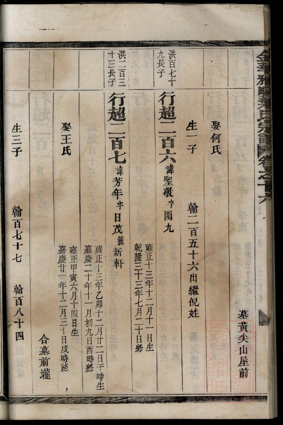 家谱编辑