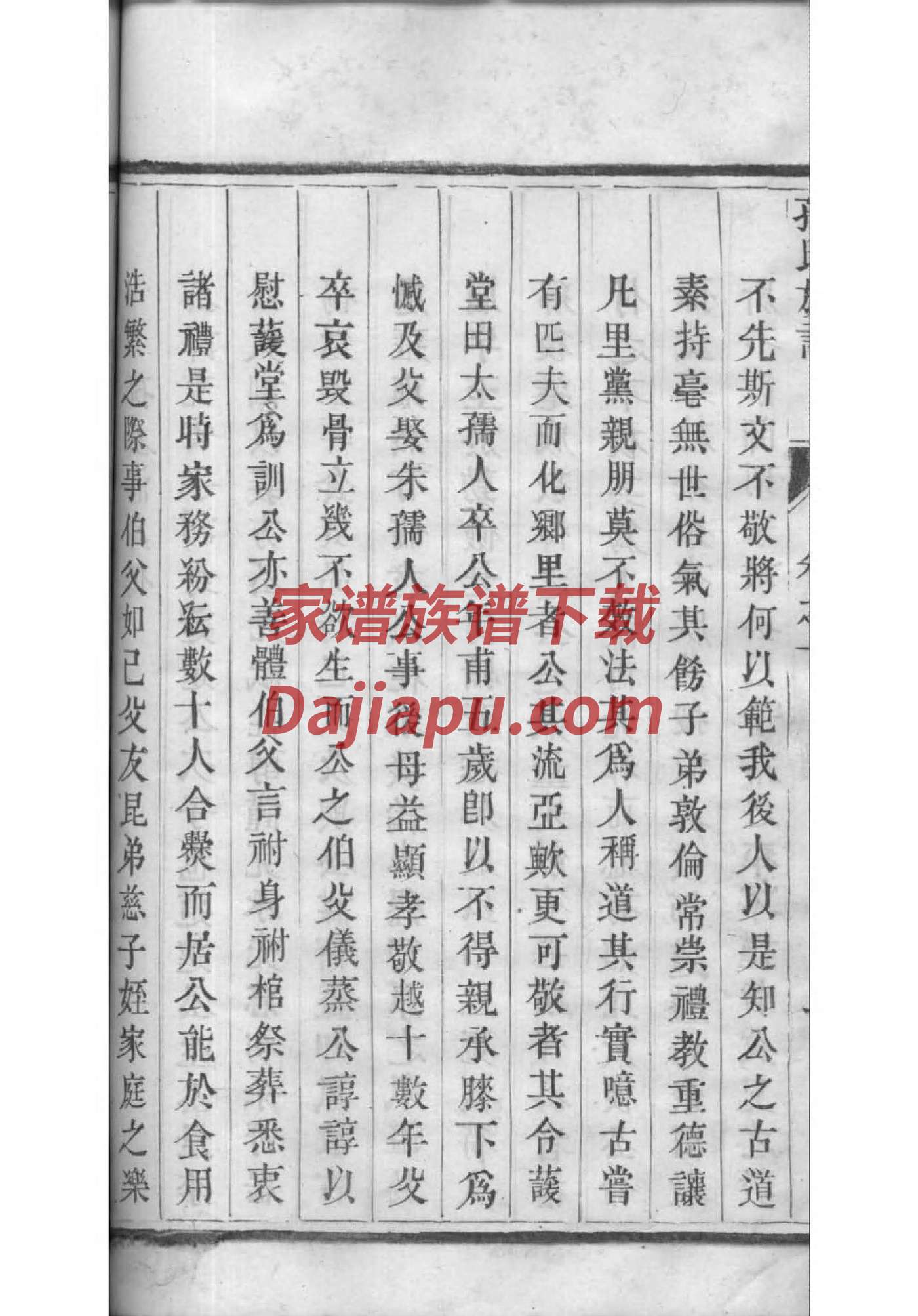 仓姓族谱字辈大全