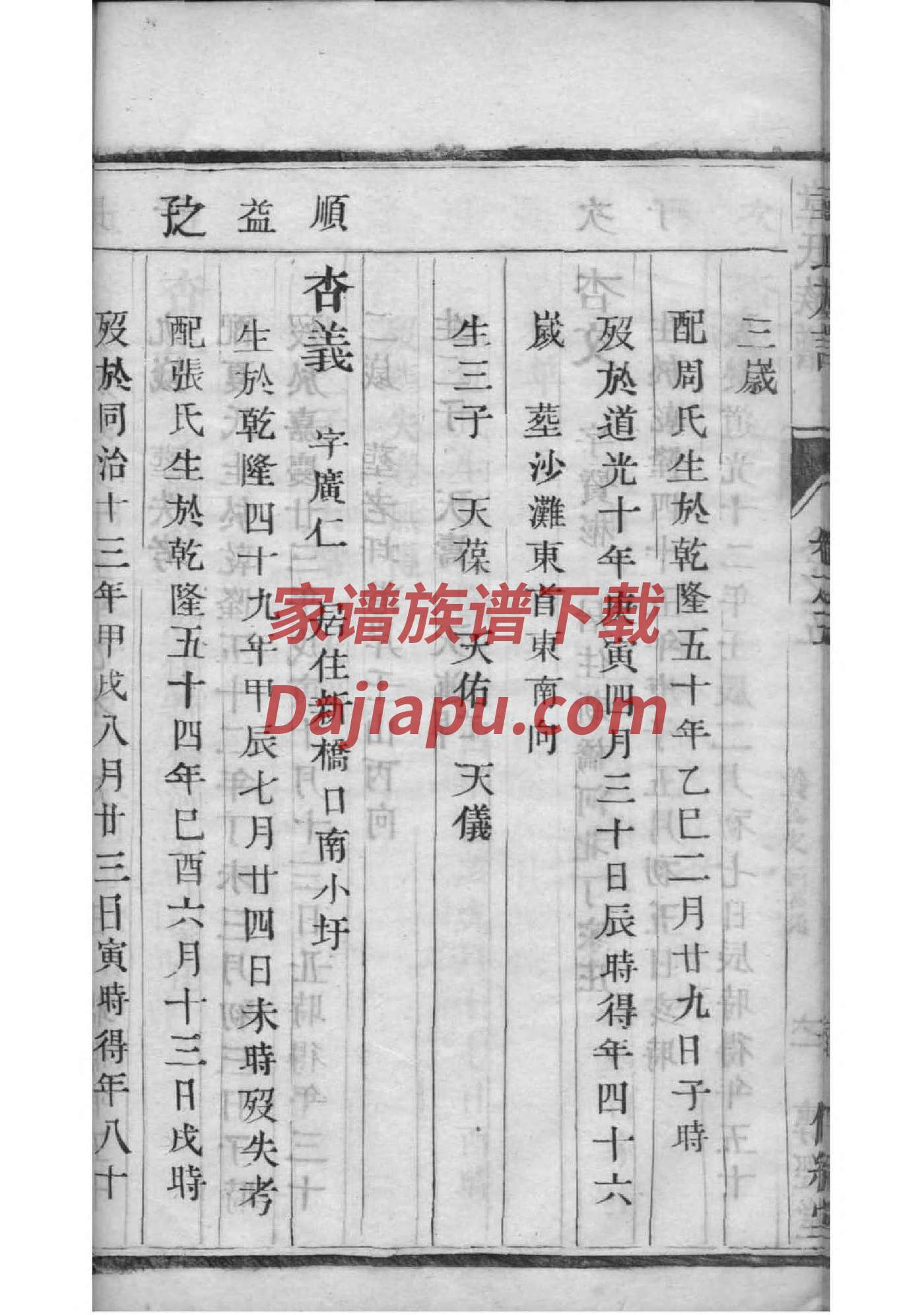 赛氏的起源
