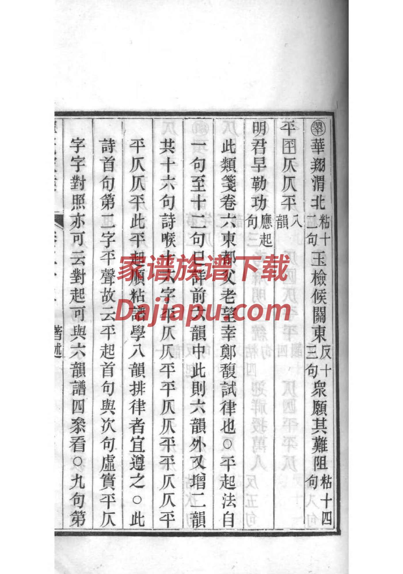 族记家谱软件使用教程