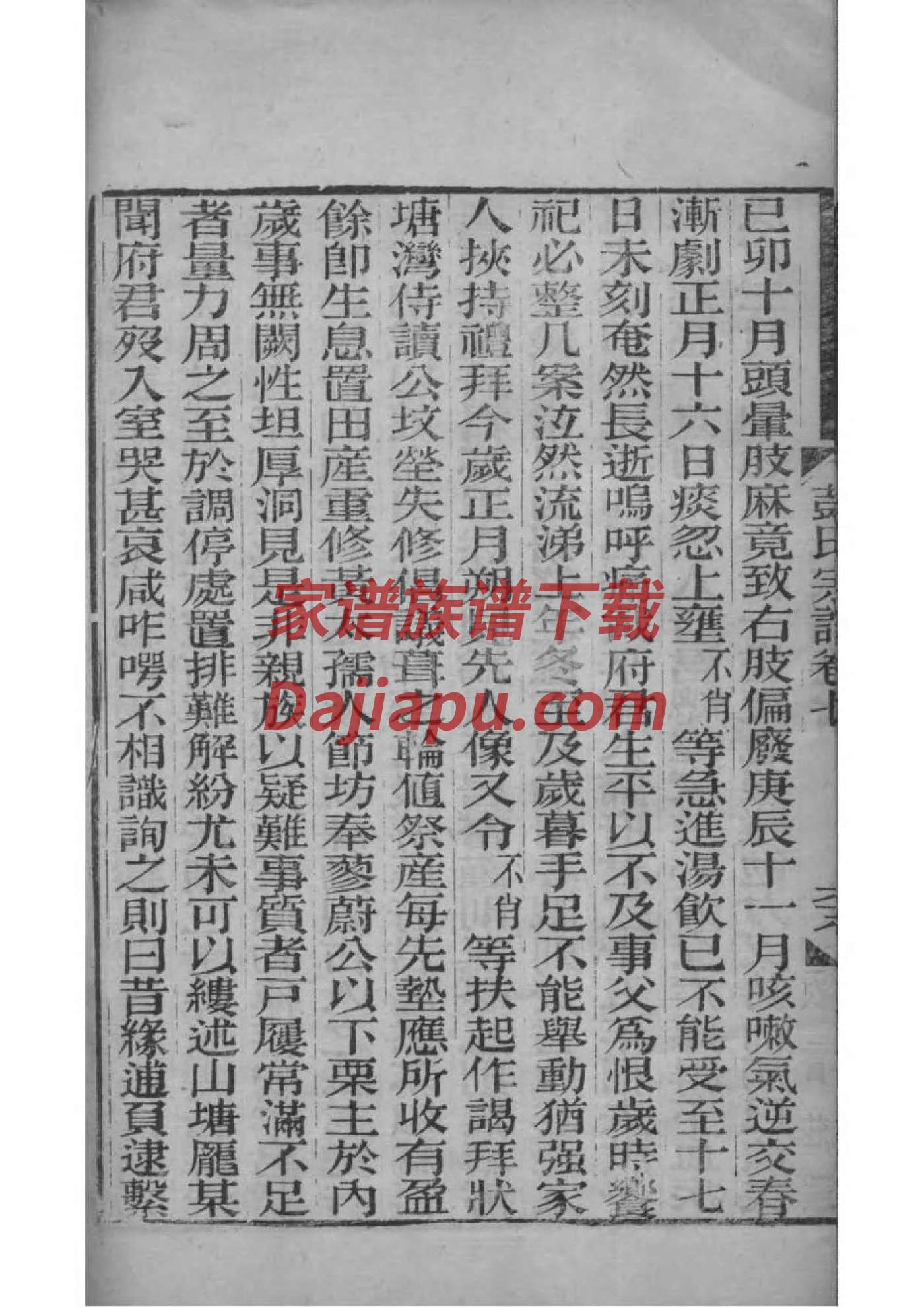 后姓族谱字辈查询全部