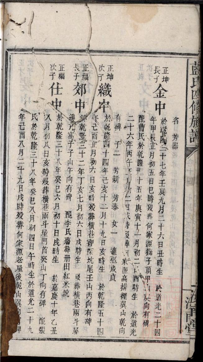野姓族谱字辈查询全部