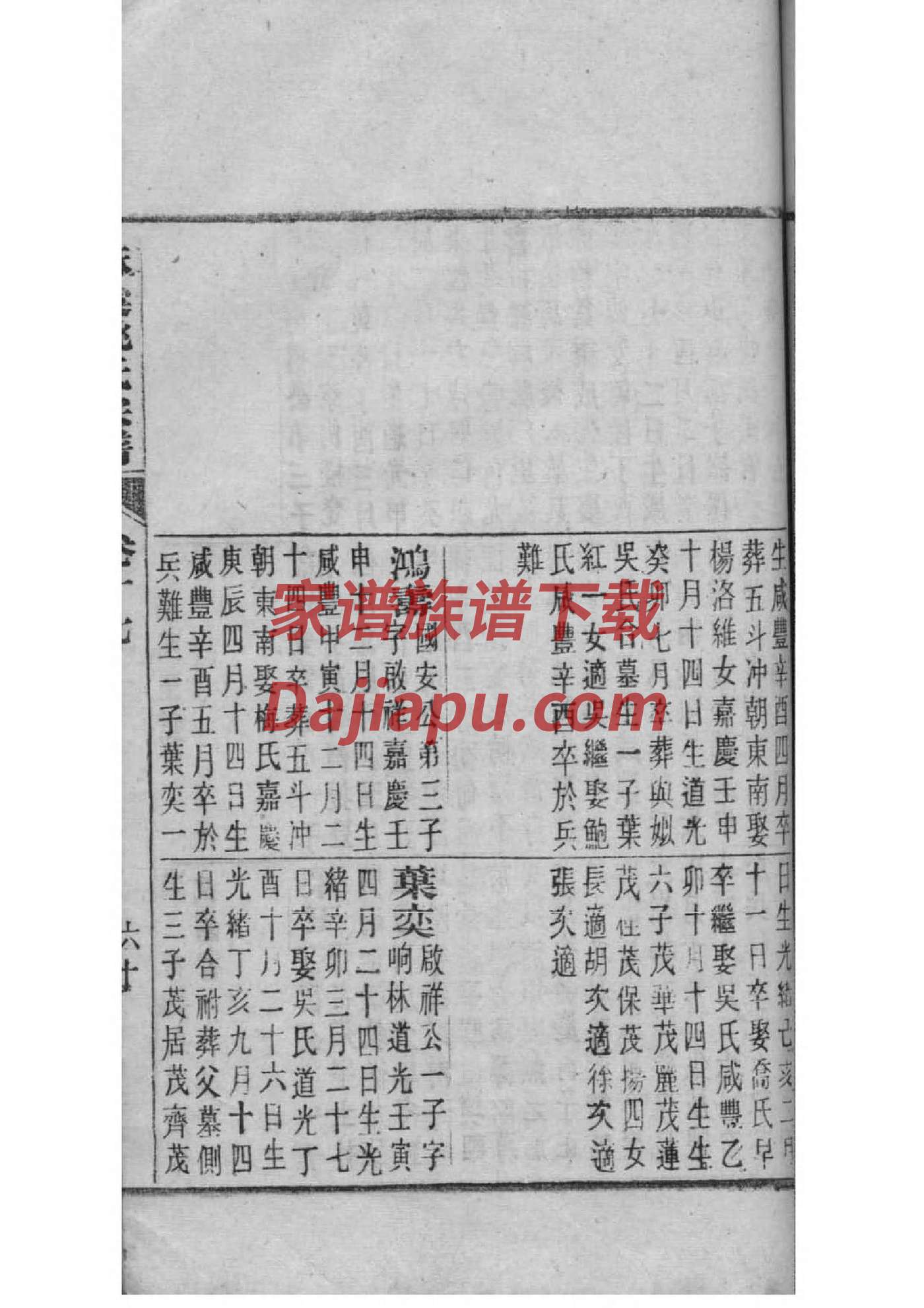 源姓辈分排行世系表