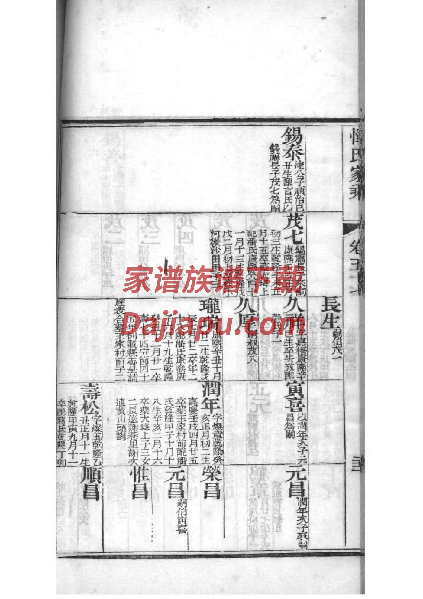 单家族谱