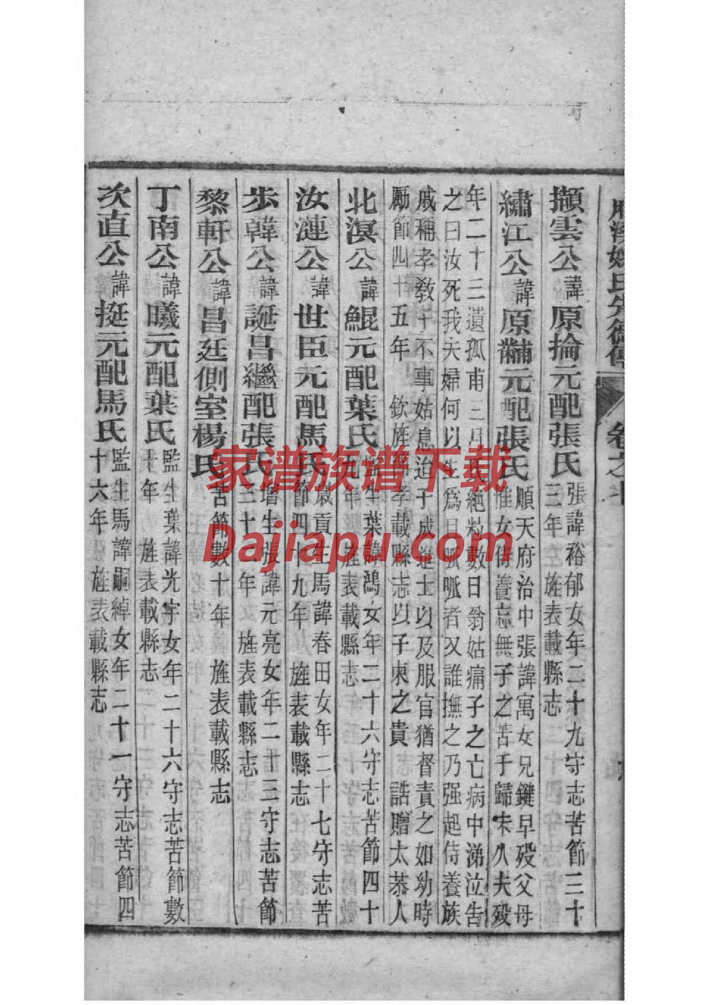 杨姓家谱德字辈
